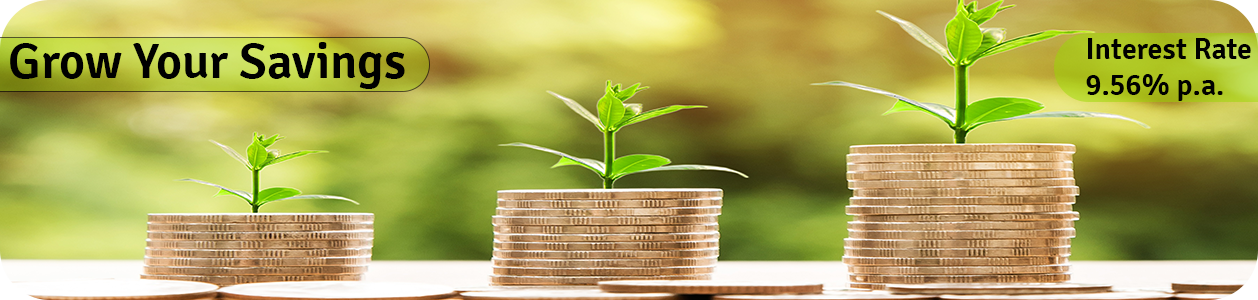 Money Market Fund - Zimele Asset Management